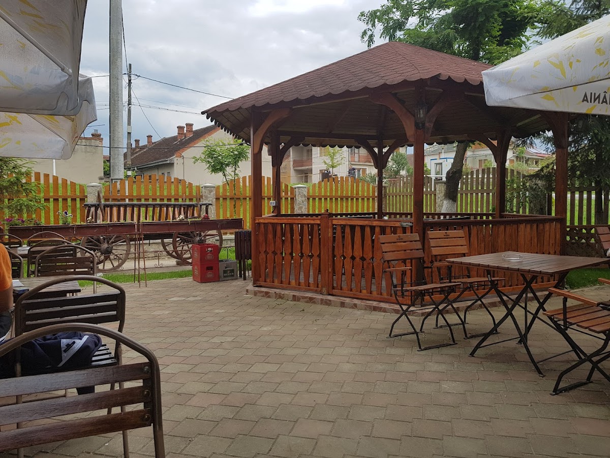 Ograda Gugulanului - foto 5