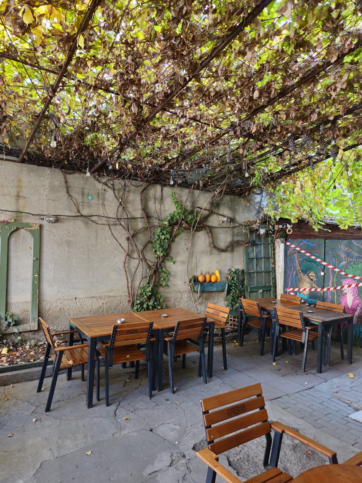 Old School Coffee House, Cluj-Napoca