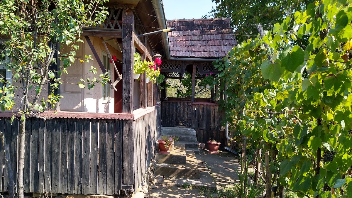 Old Transylvanian House, Băla