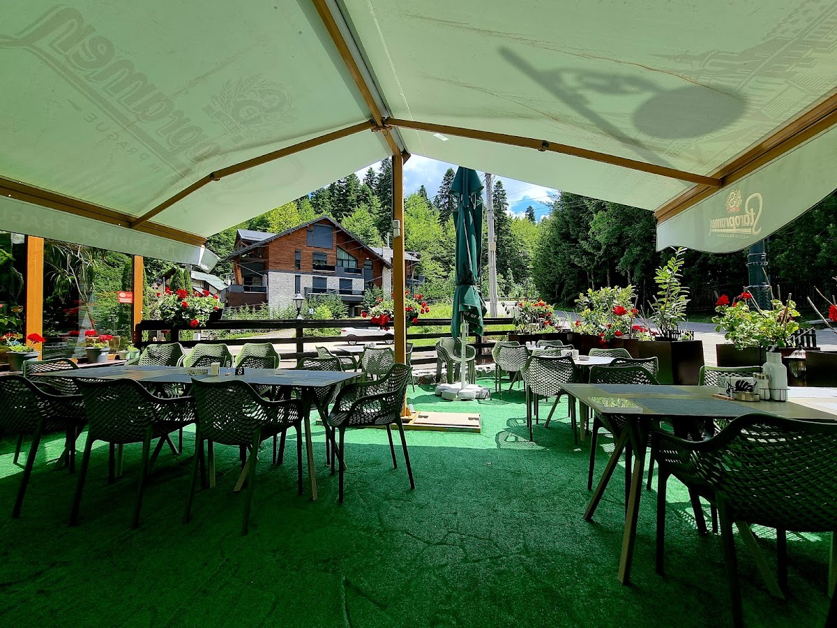 Opus Garden - foto 2
