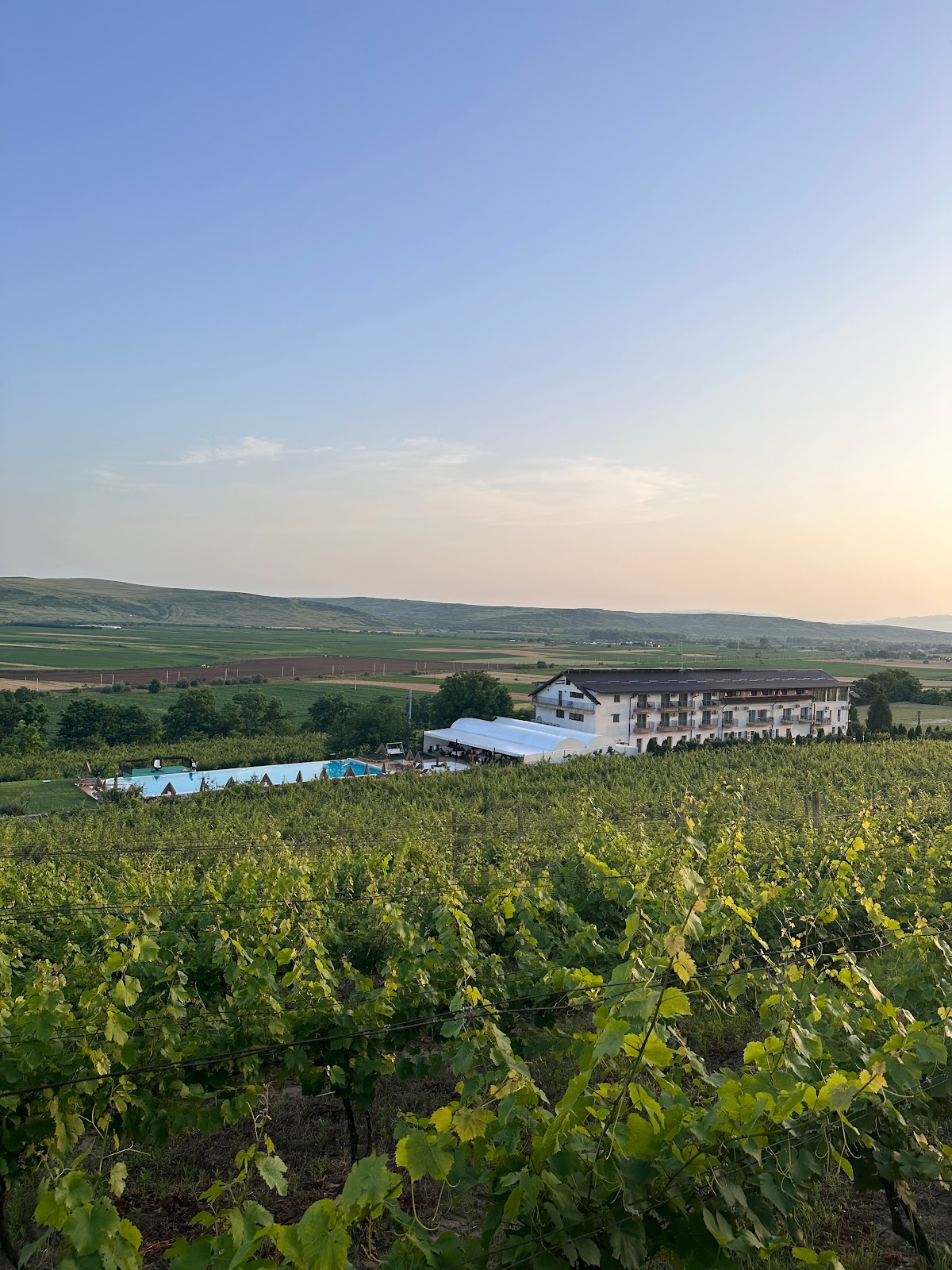 Organizare evenimente Blaj - Pensiunea La Vie - foto 4