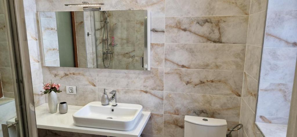 Orieta Apart Hotel Arad