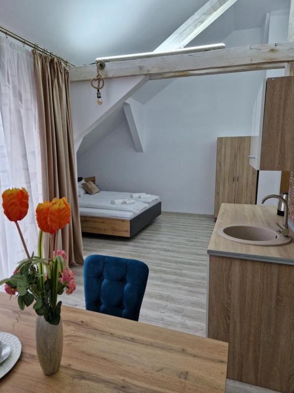 Orieta Apart Hotel Arad