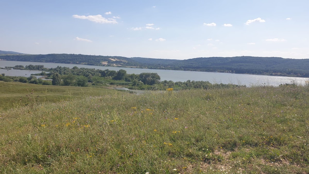 Ostrovul Mare - foto 4