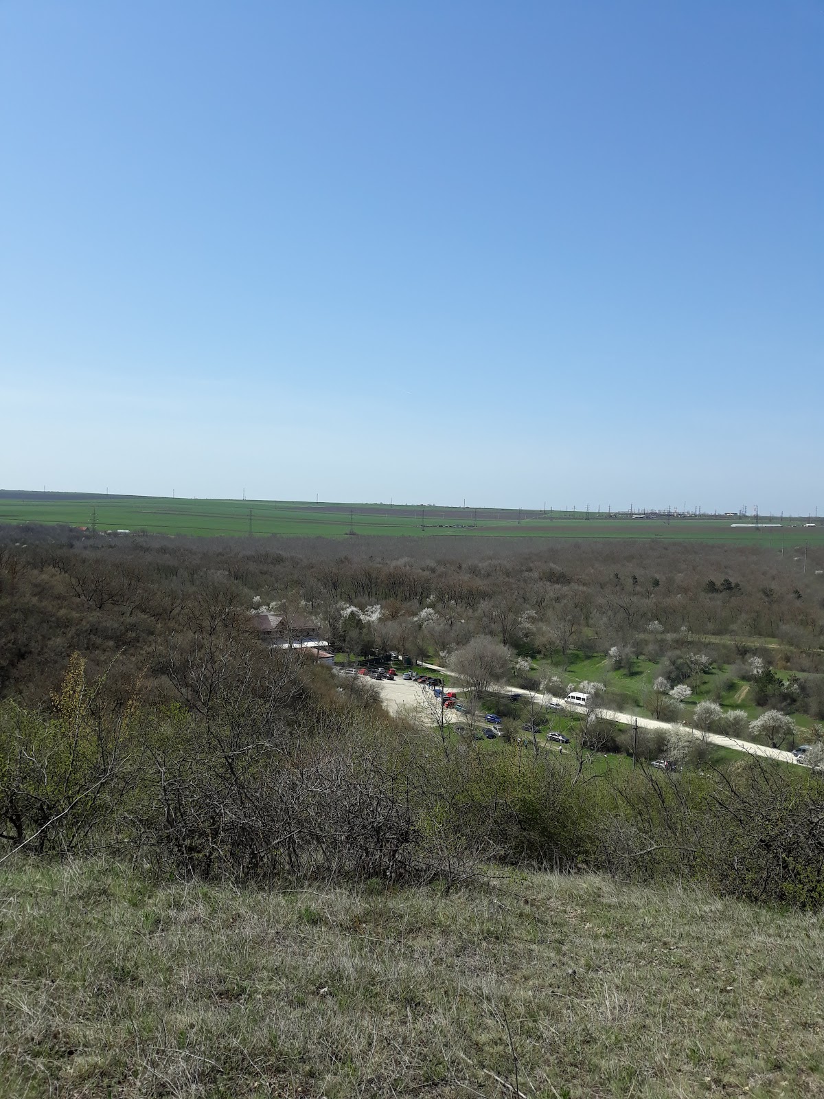 Pădure Murfatlar - foto 2