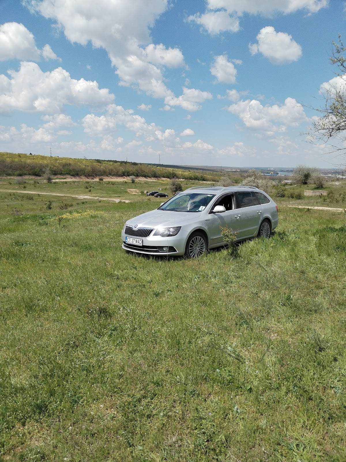 Pădure Murfatlar - foto 3