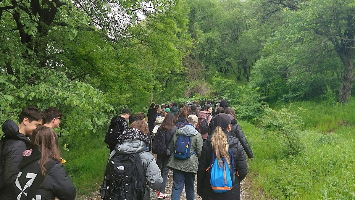 巴巴达格森林 - foto 5