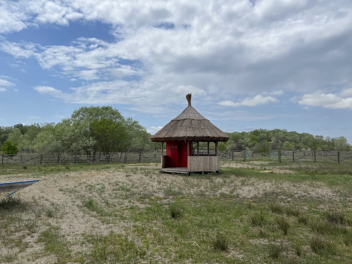 Caraorman Forest - foto 4