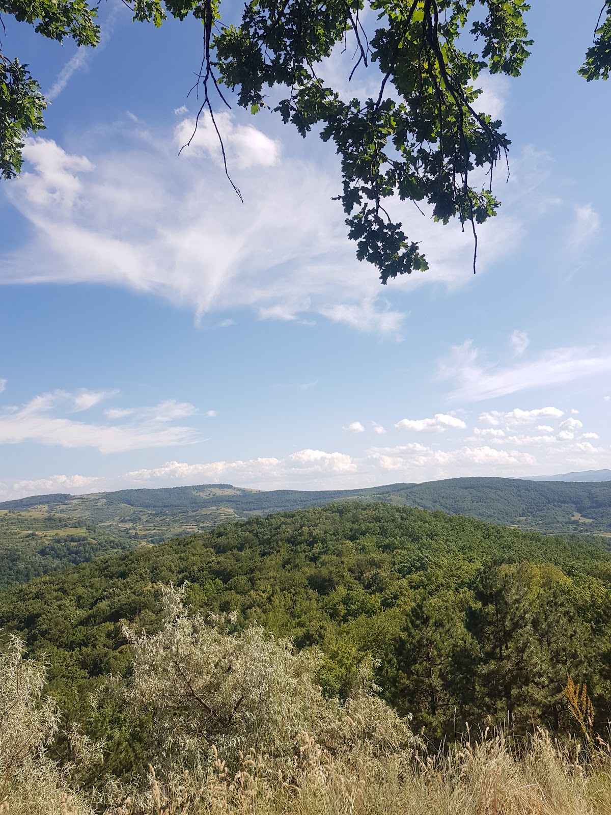 Pădurea Cetatea Fetei - foto 2