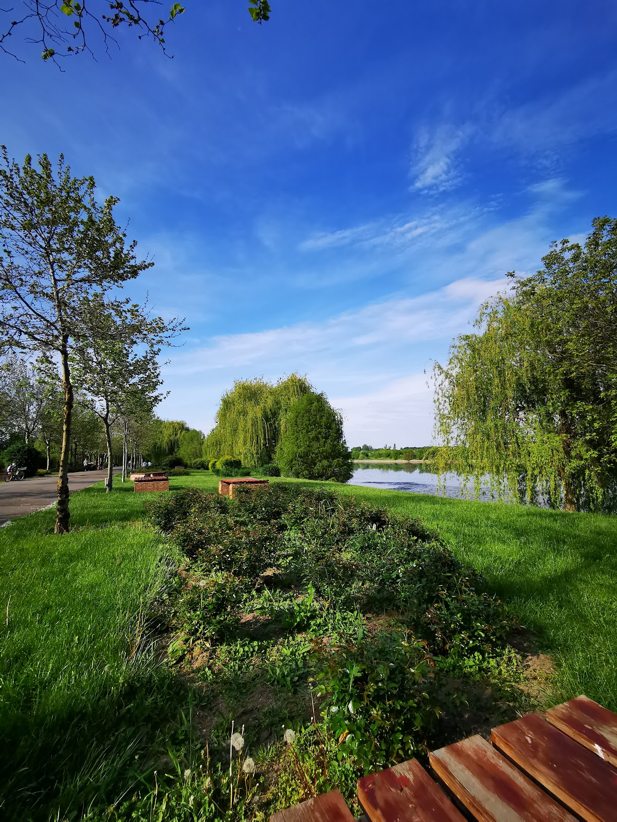 Pădurea Chitila-Mogoșoaia - foto 4