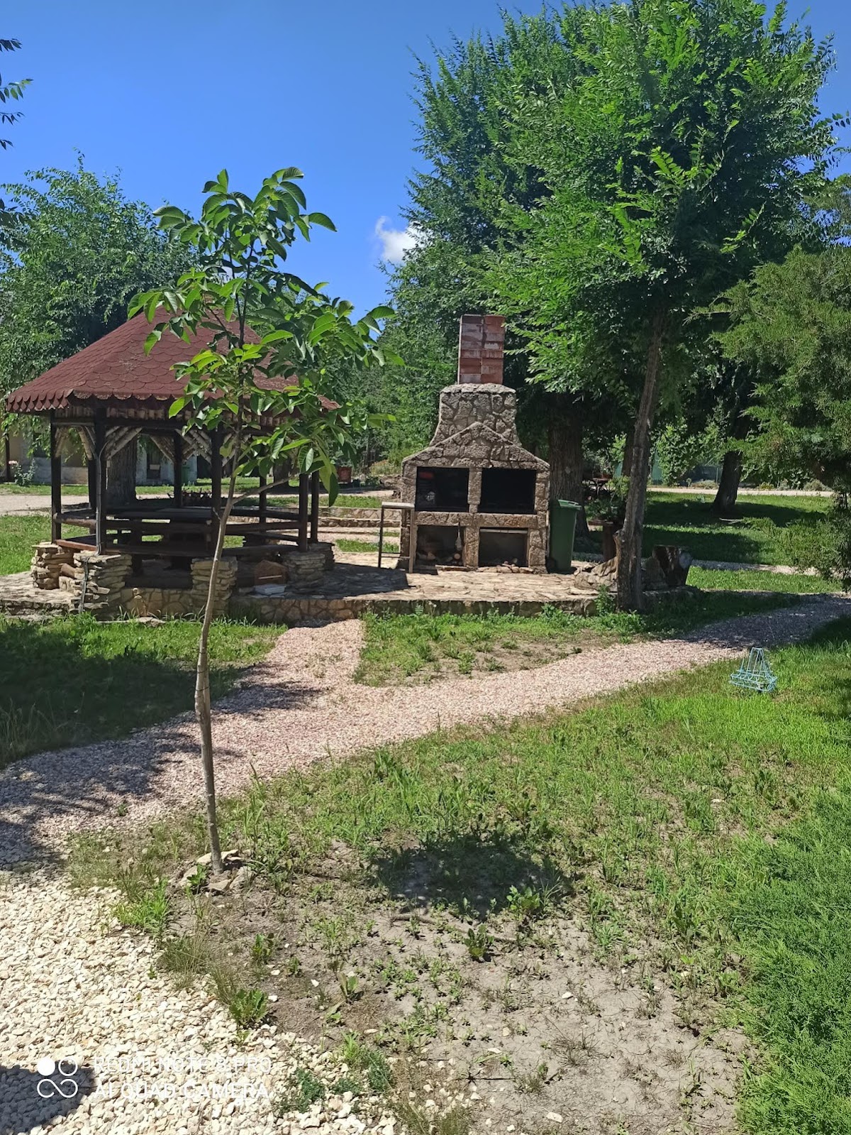 Pădurea Comorova - foto 2