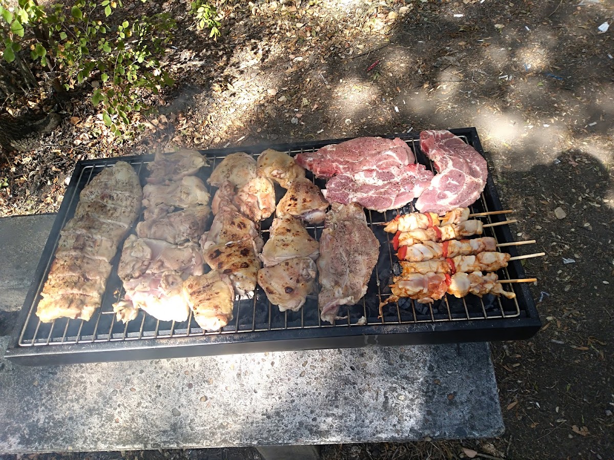 Pădurea Comorova - foto 4