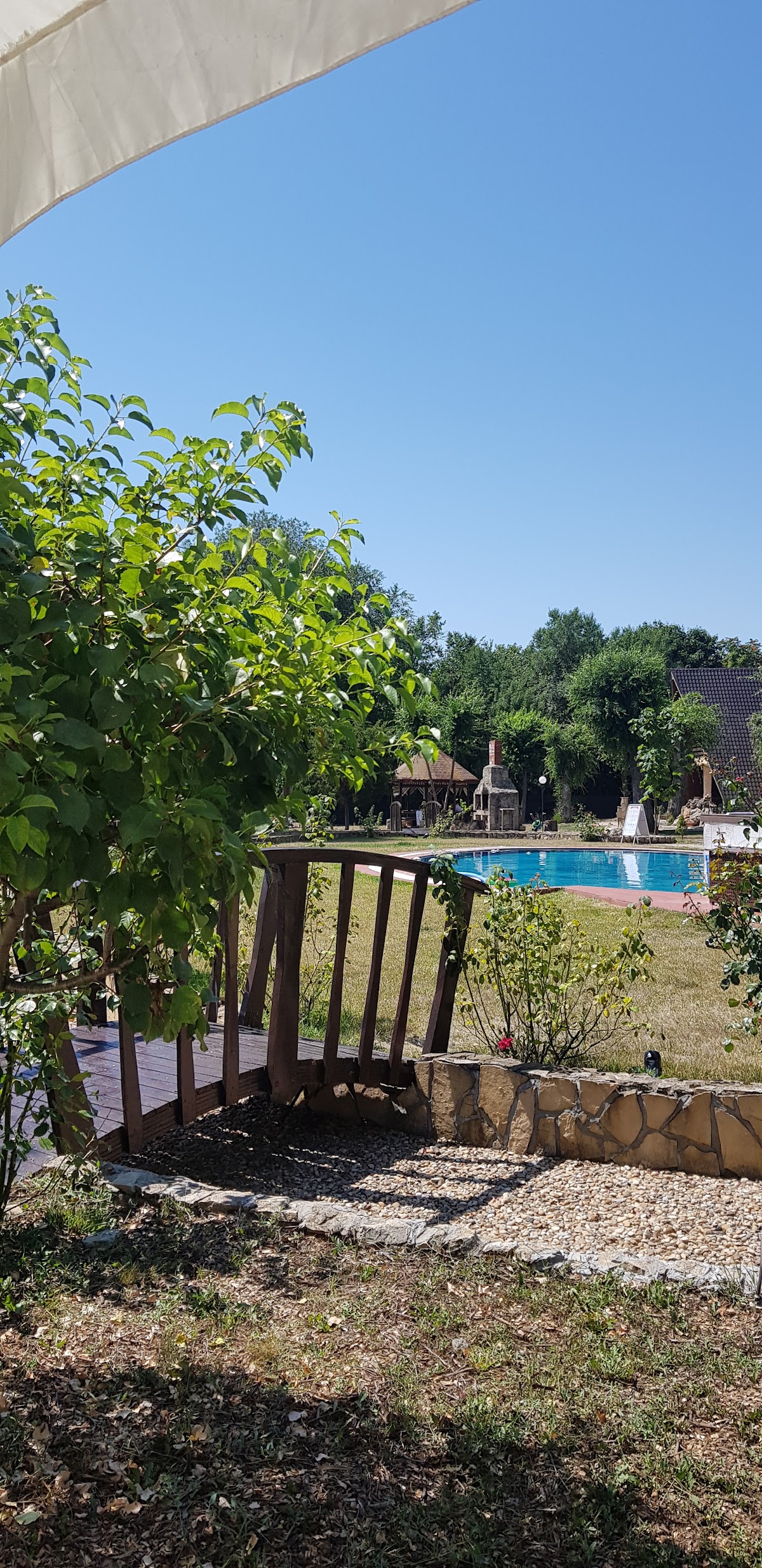 Pădurea Comorova - foto 5