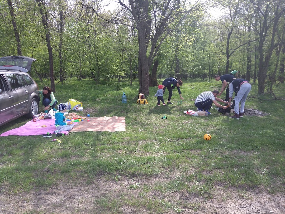 Pădurea Cornetu - foto 4