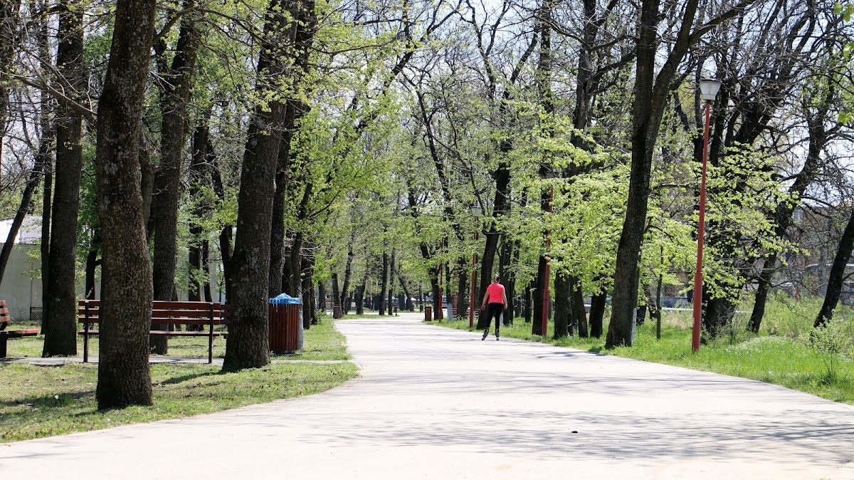 Foresta Crihala - foto 3