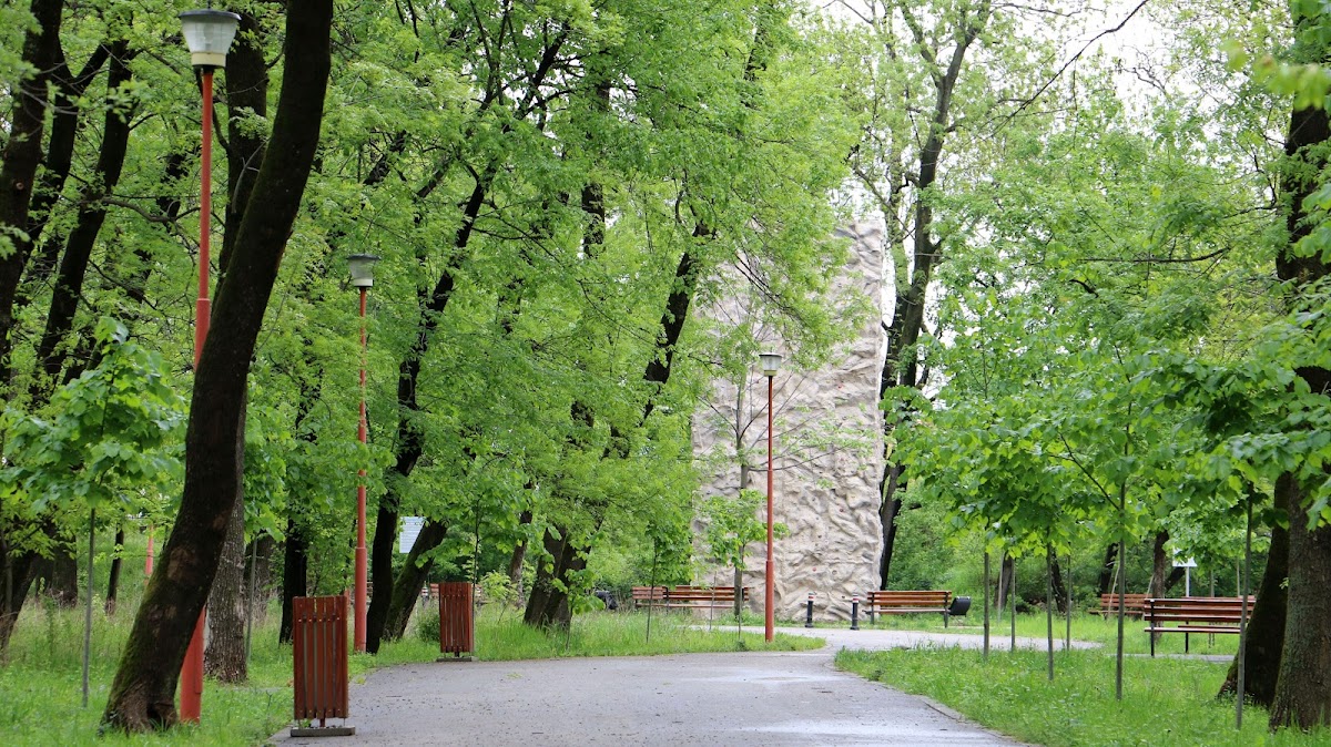 Foresta Crihala - foto 4