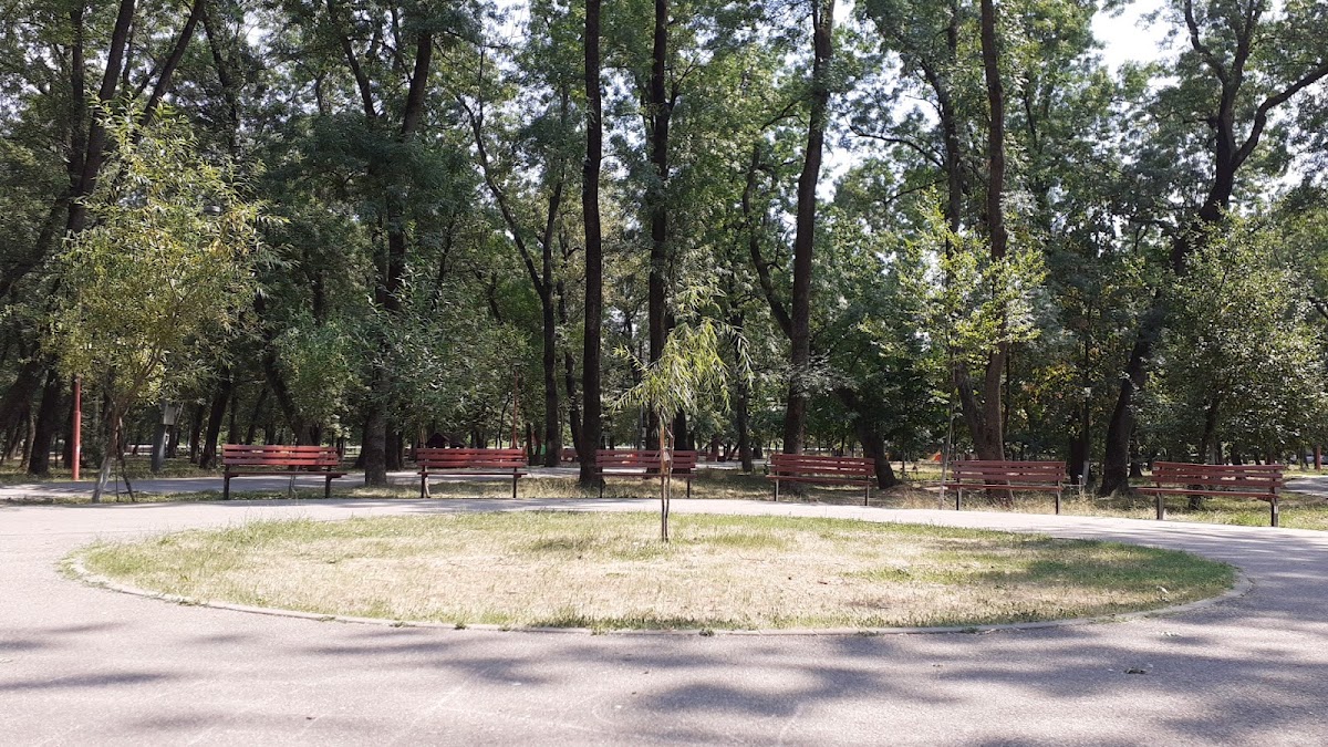 Foresta Crihala - foto 5