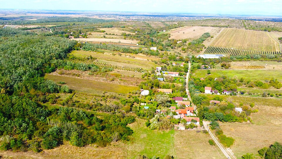 Padurea de langa Ardud-Vii, Ardud-Vii