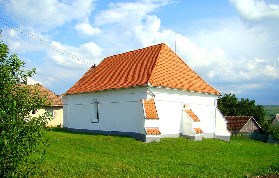 Padurea de langa Biia