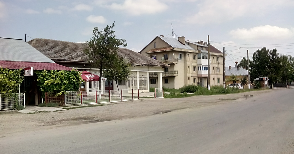 Padurea de langa Bordei Verde