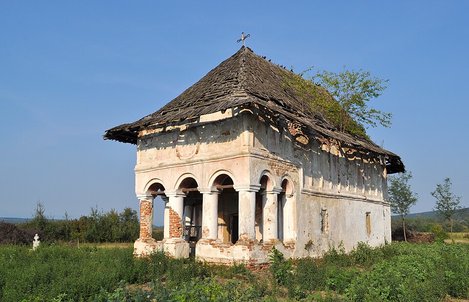 Padurea de langa Cojani, Cojani