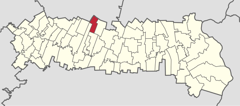 Wald bei Colelia, Colelia