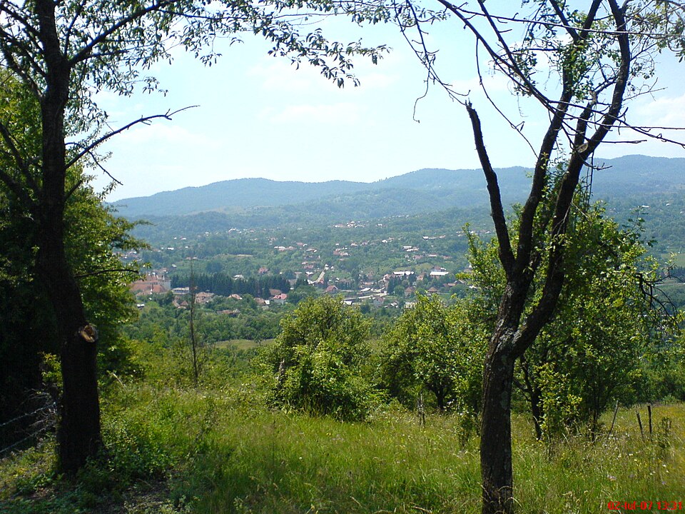Padurea de langa Corbeni, Corbeni