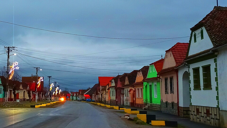 Padurea de langa Crizbav