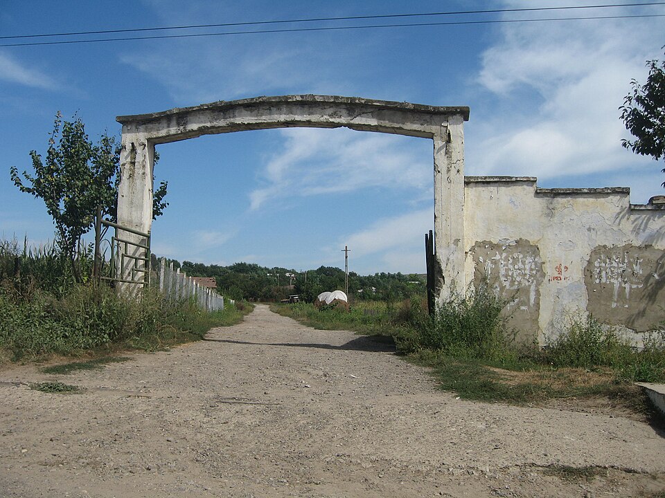 Padurea de langa Dângeni, Dângeni