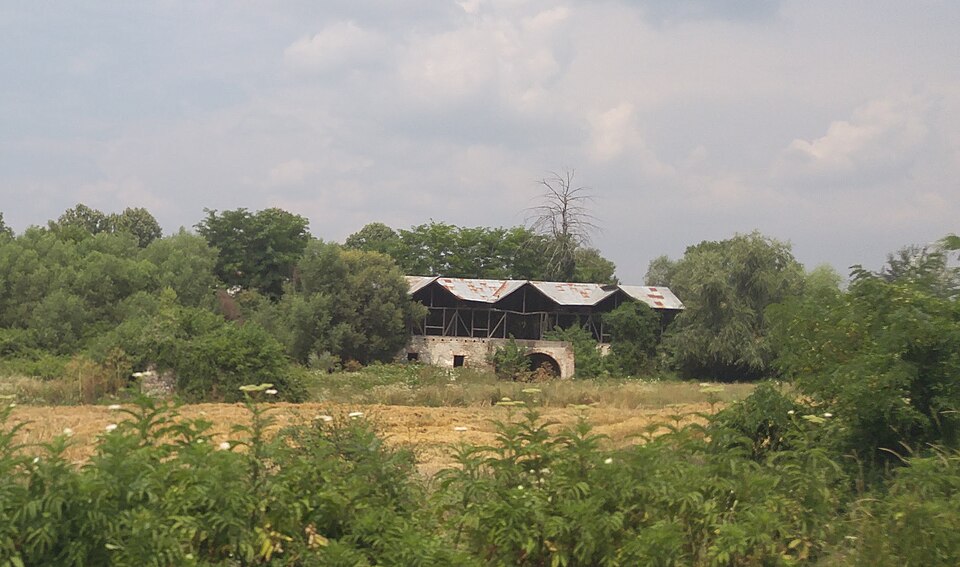 Foresta vicino a Făgetu