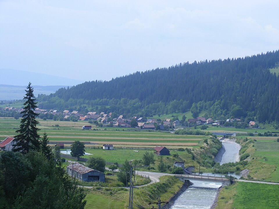 Padurea de langa Frumoasa, Frumoasa