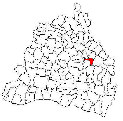 Padurea de langa Ghindeni