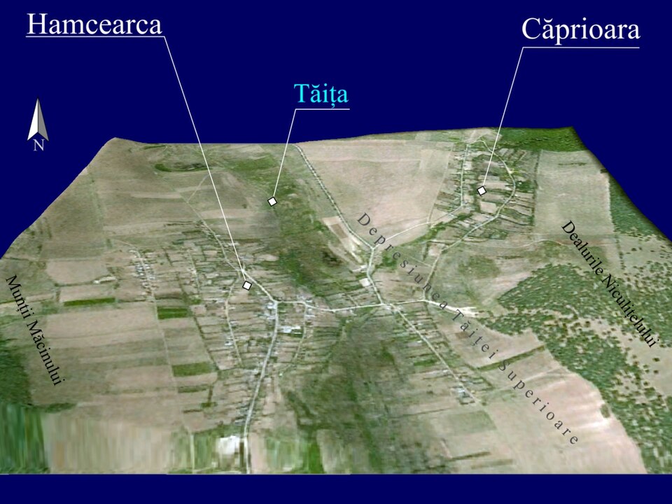 Padurea de langa Hamcearca, Hamcearca