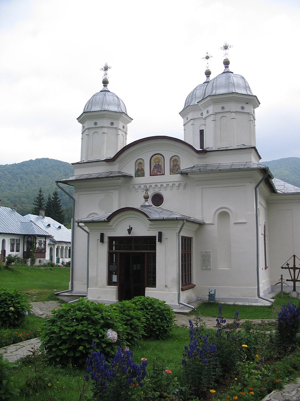 Padurea de langa Mânăstirea Suzana