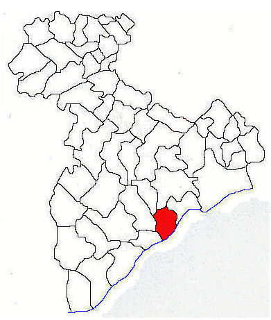 Padurea de langa Oinacu