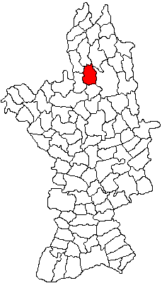 Padurea de langa Oporelu, Oporelu