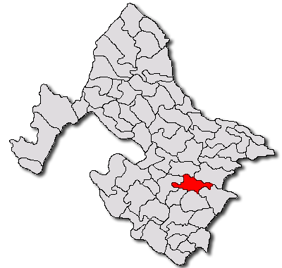 Padurea de langa Pădina Mare, Pădina Mare