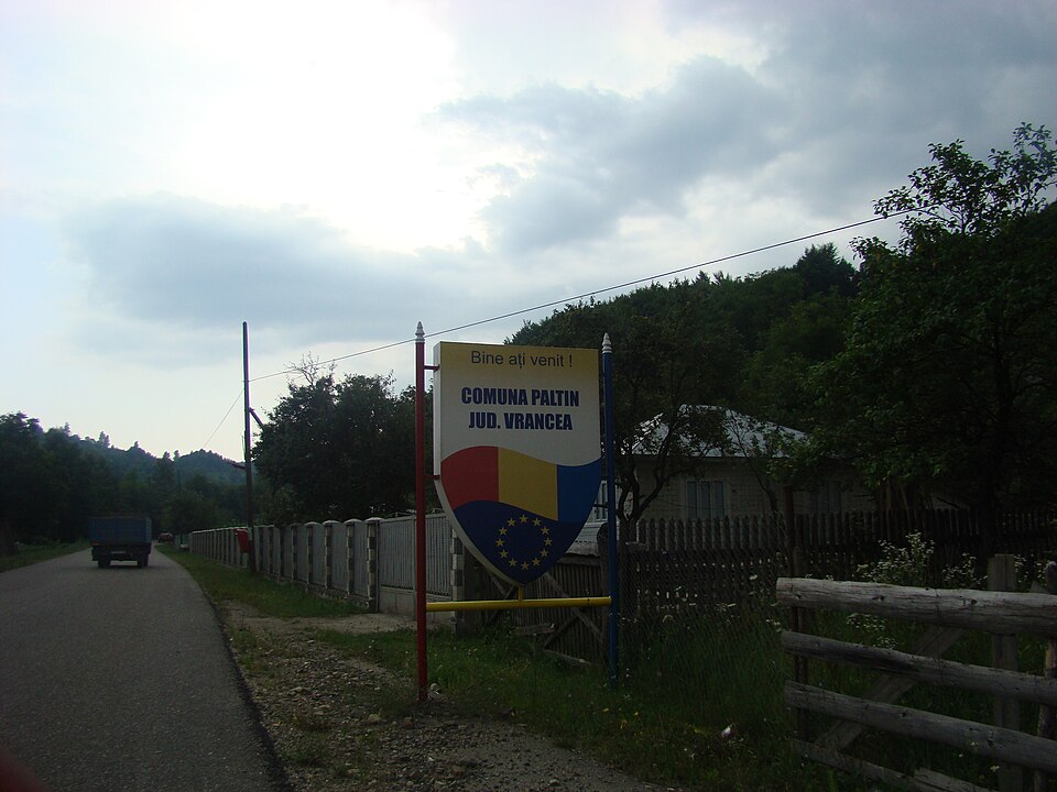 Padurea de langa Paltin, Paltin