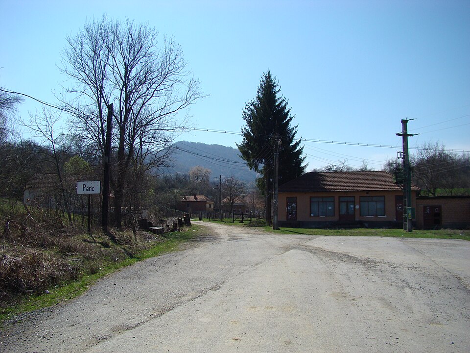 Padurea de langa Panc, Panc