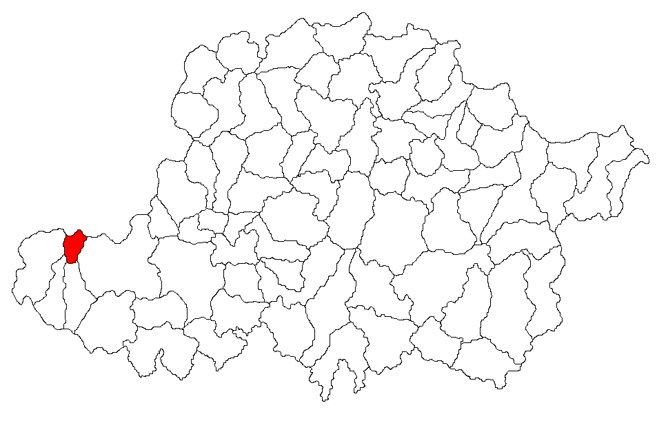 Padurea de langa Peregu Mare