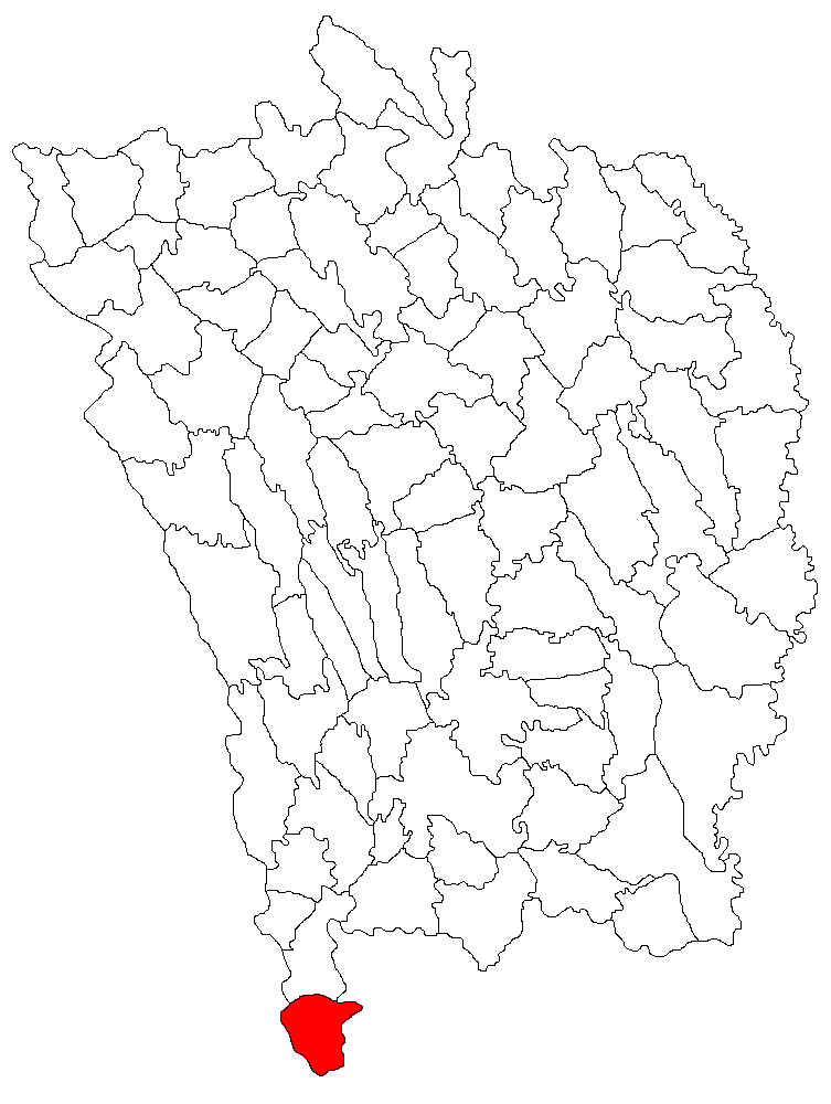 Padurea de langa Pochidia, Pochidia