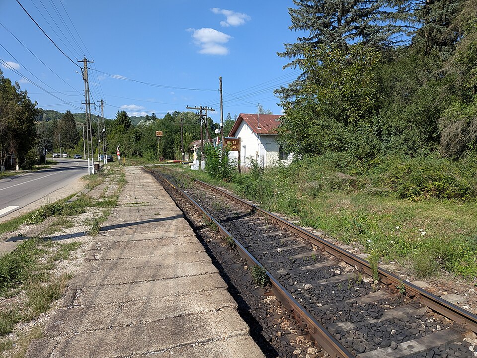 Padurea de langa Prăjani