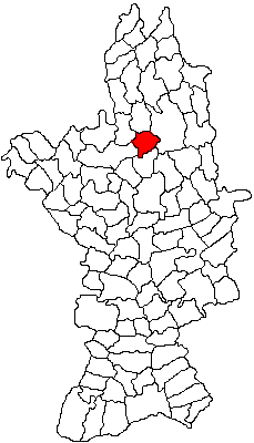 Padurea de langa Priseaca