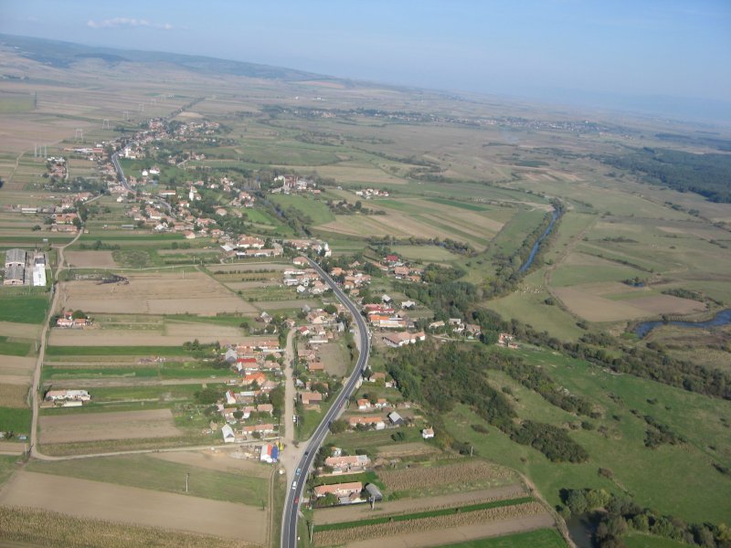 Padurea de langa Sântionlunca, Sântionlunca