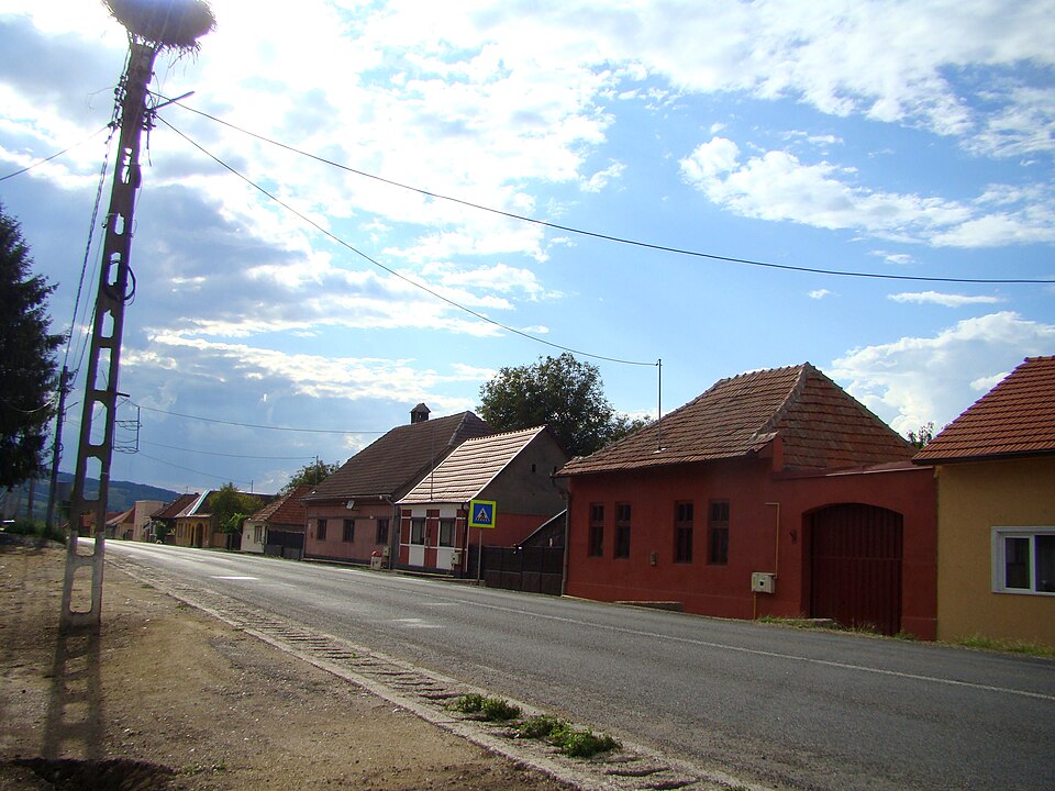 Padurea de langa Spini, Spini