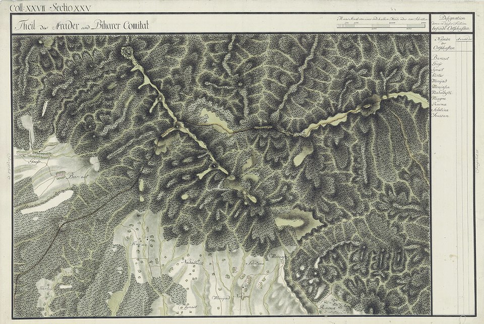 Padurea de langa Susani, Susani