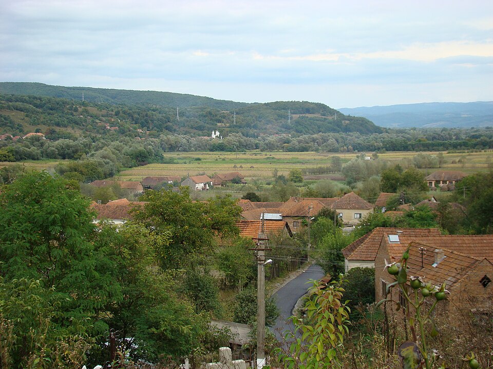 Padurea de langa Tisa, Tisa