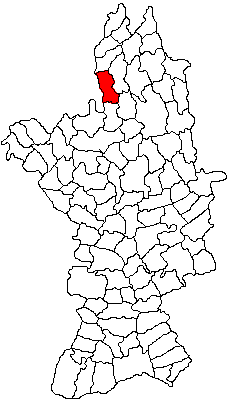 Padurea de langa Verguleasa, Verguleasa