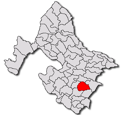 Padurea de langa Vlădaia