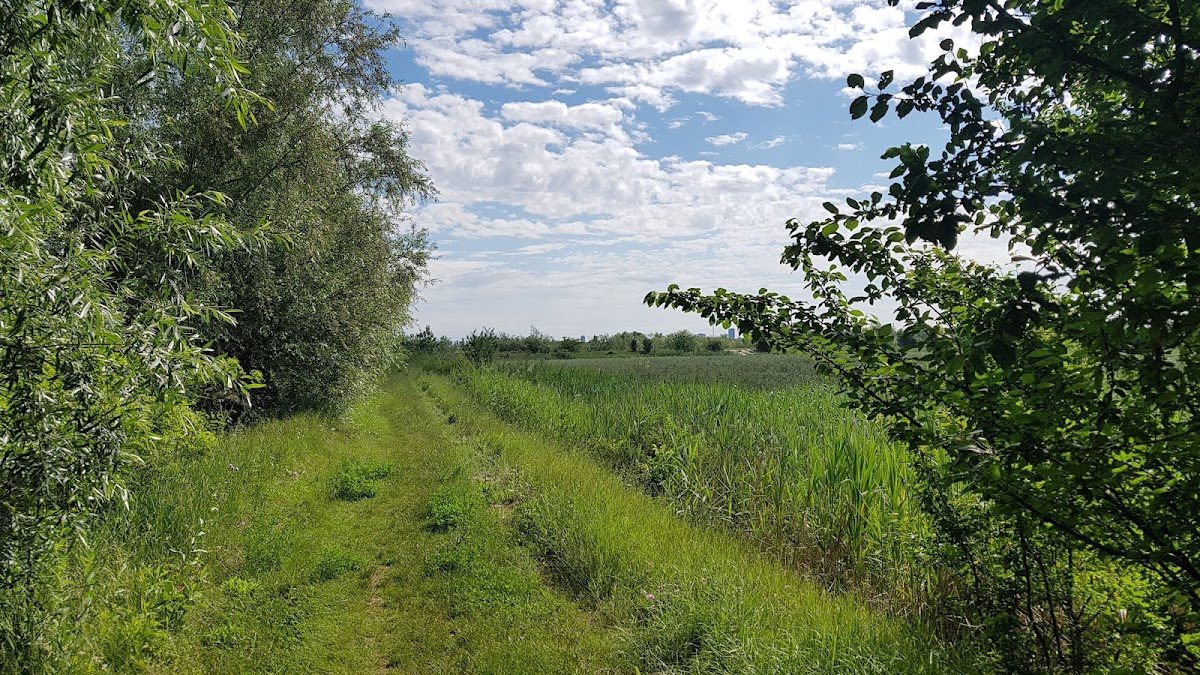 Pădurea Dudu - foto 3
